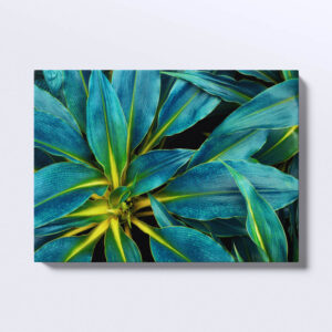 Tablou canvas Tropical leaf