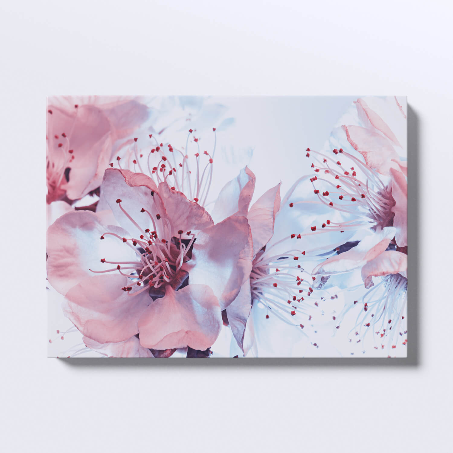 Tablou flori roz