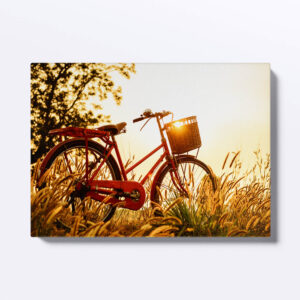 Tablou canvas bicicleta